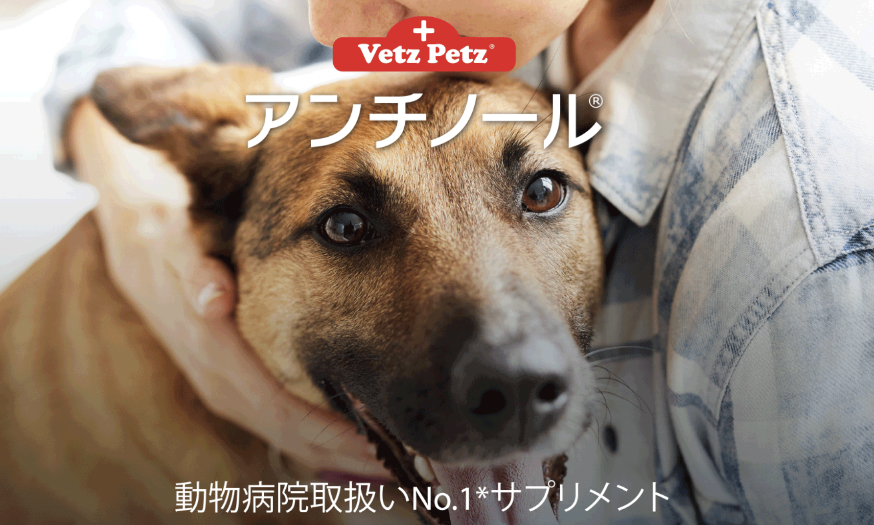 期間限定 初回購入500円offクーポン 副作用なしの犬猫用サプリ アンチノール が安く買えるよ Sappori Blog
